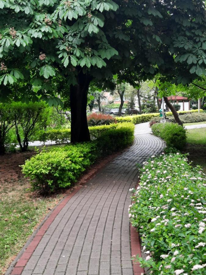 Apartament W Centrum Wroclawia Leilighet Rom bilde